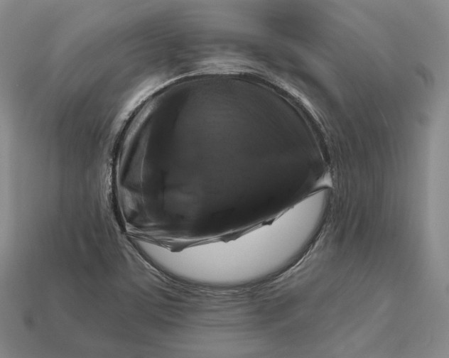 X0000112881459200909111433