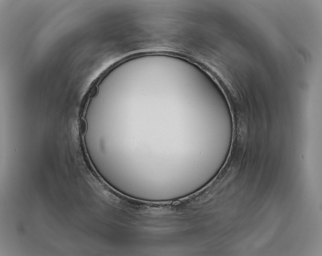 X0000112881460200909111433