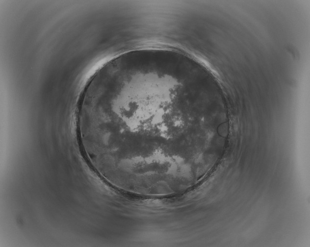 X0000112881463200909111433