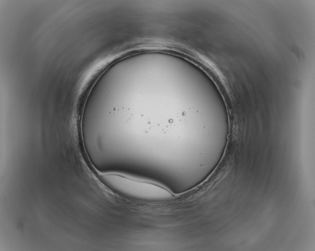 X0000112881464200909111433