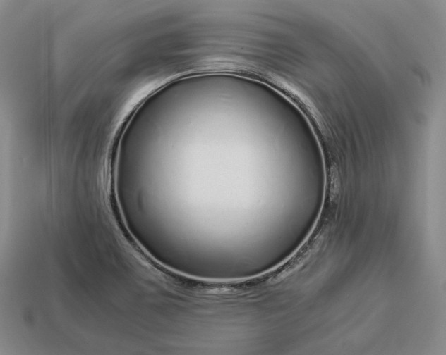 X0000112881467200909111433