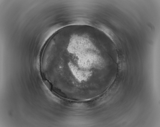 X0000112881468200909111433