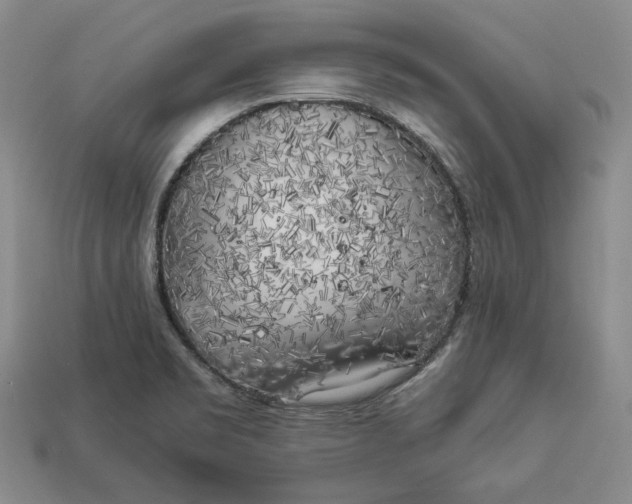 X0000112881469200909111433