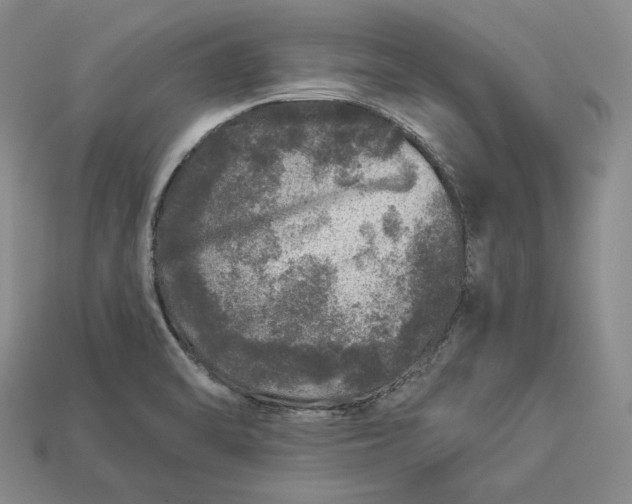 X0000112881470200909111433