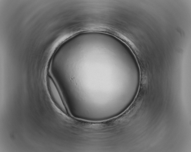 X0000112881471200909111433