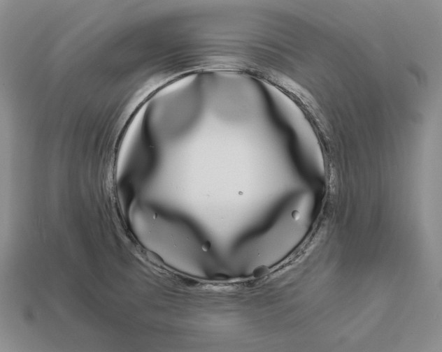 X0000112881473200909111433