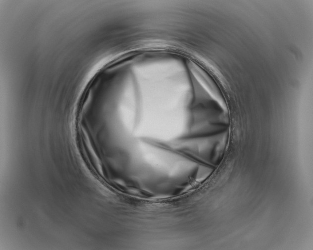 X0000112881475200909111433