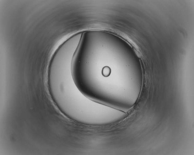 X0000112881477200909111433