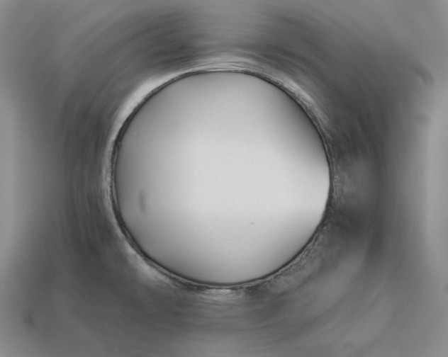 X0000112881478200909111433