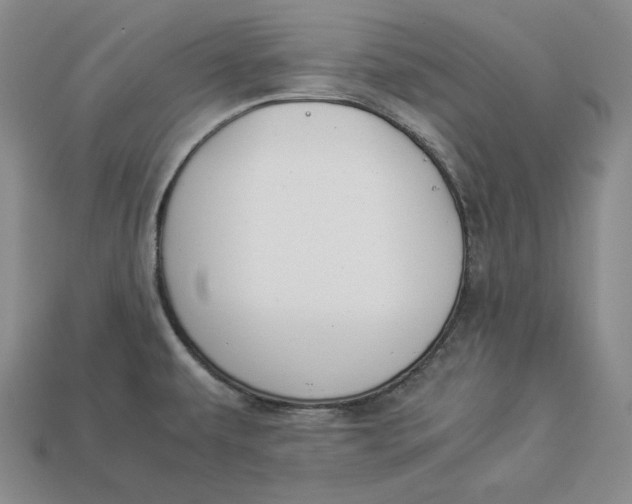 X0000112881479200909111433