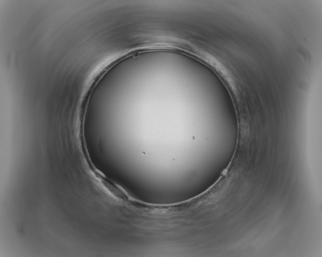 X0000112881480200909111433