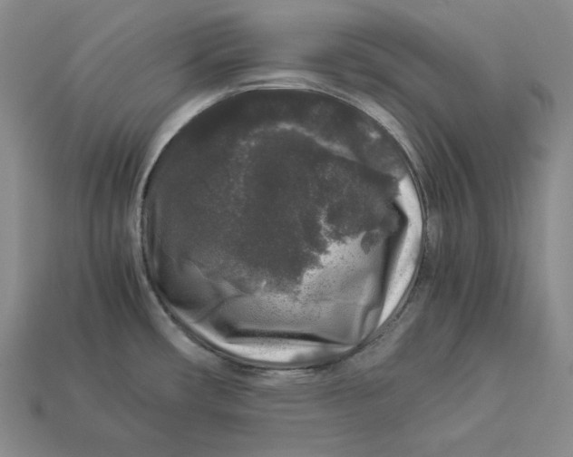 X0000112881482200909111433