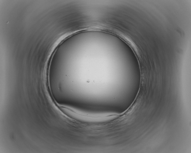 X0000112881483200909111433