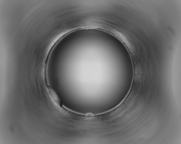 X0000112881484200909111433