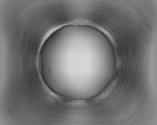 X0000112881486200909111433