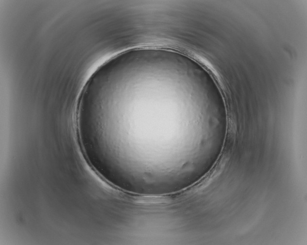 X0000112881487200909111433