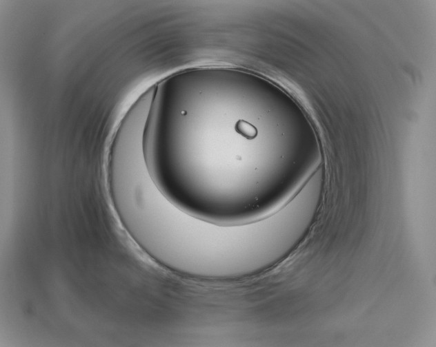 X0000112881488200909111433