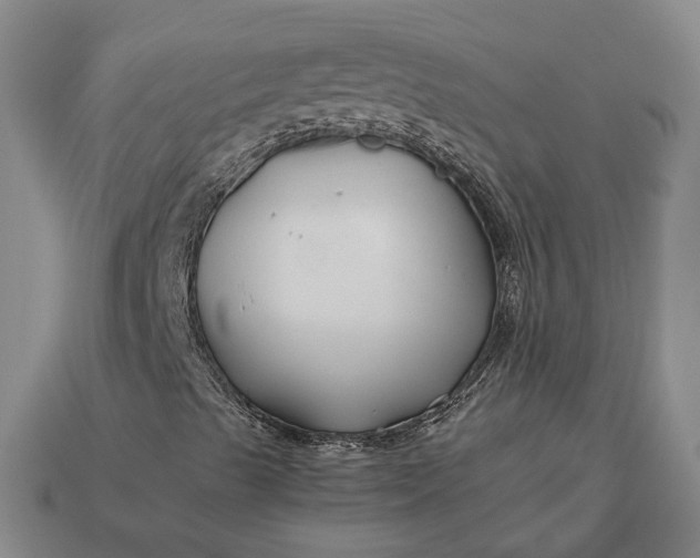 X0000112881489200909111432