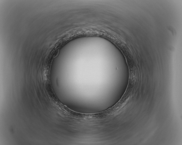 X0000112881490200909111432