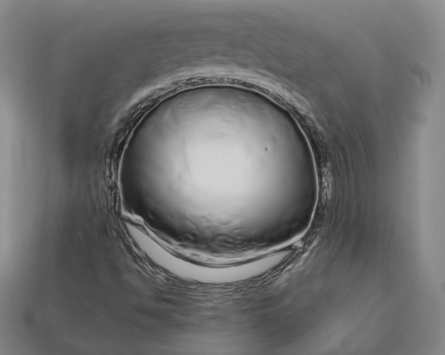 X0000112881494200909111432