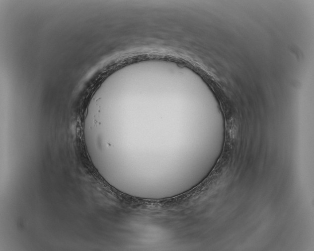 X0000112881495200909111432