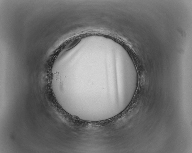 X0000112881496200909111432