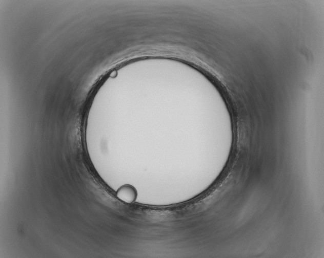 X0000112881498200909111432