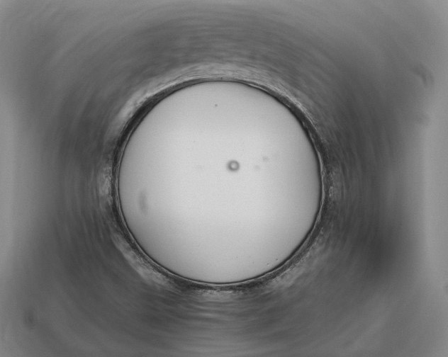 X0000112881499200909111432