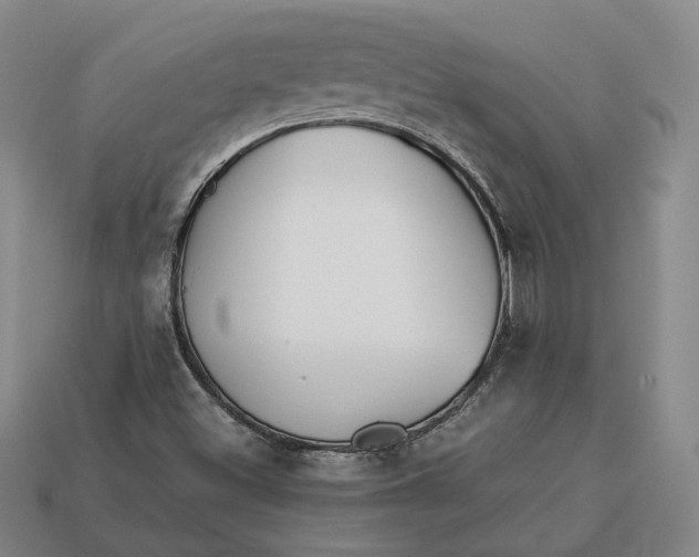 X0000112881500200909111432