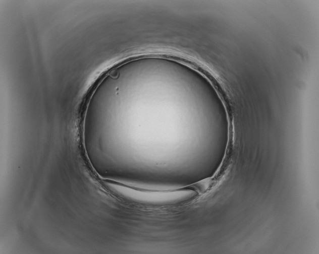 X0000112881501200909111432