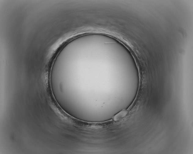 X0000112881503200909111432