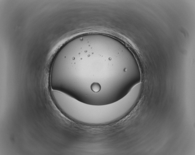 X0000112881504200909111432