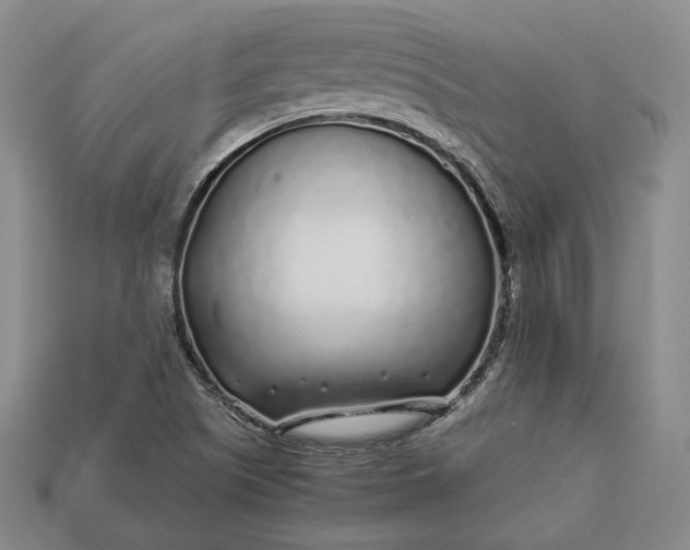 X0000112881505200909111432