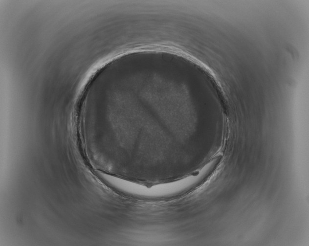 X0000112881506200909111432