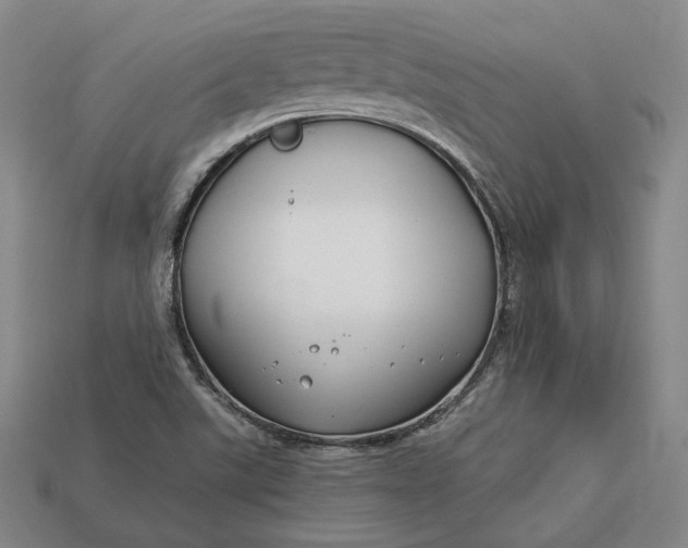 X0000112881507200909111432