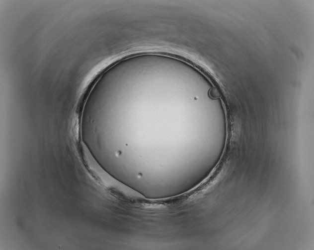 X0000112881509200909111432