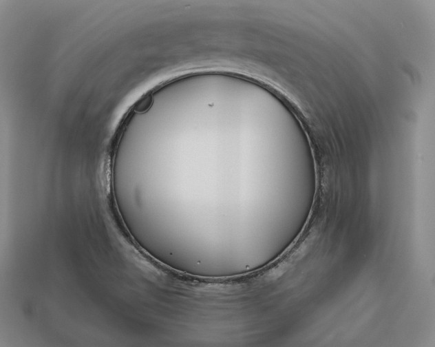 X0000112881510200909111432