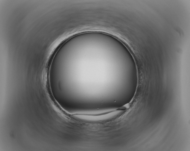 X0000112881511200909111432