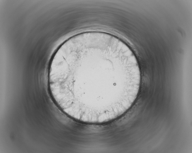 X0000112881514200909111432