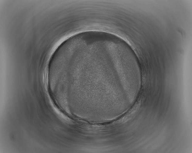 X0000112881515200909111432