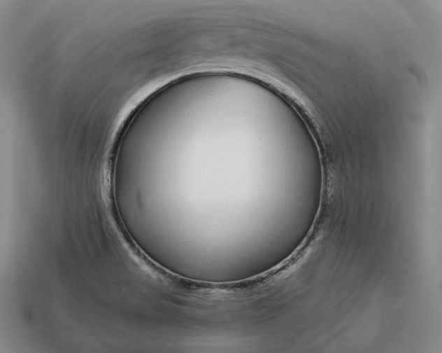 X0000112881517200909111432