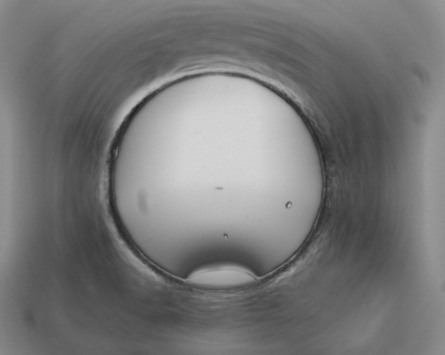 X0000112881518200909111432