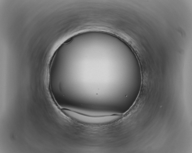 X0000112881520200909111432