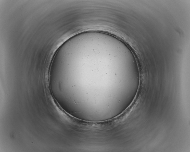 X0000112881521200909111432