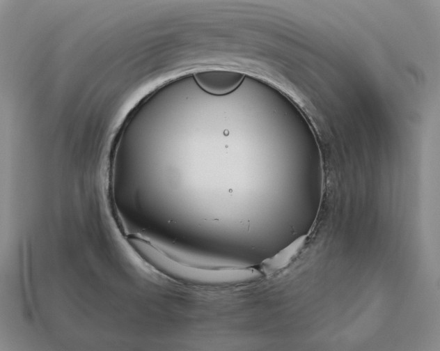 X0000112881523200909111432