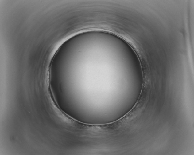 X0000112881524200909111432