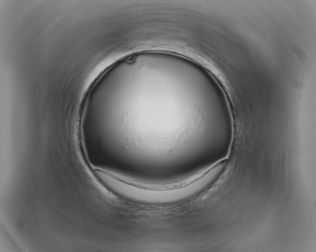 X0000112881525200909111432