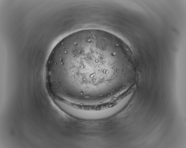 X0000112881527200909111433