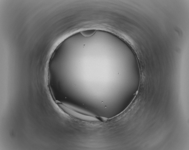 X0000112881528200909111433