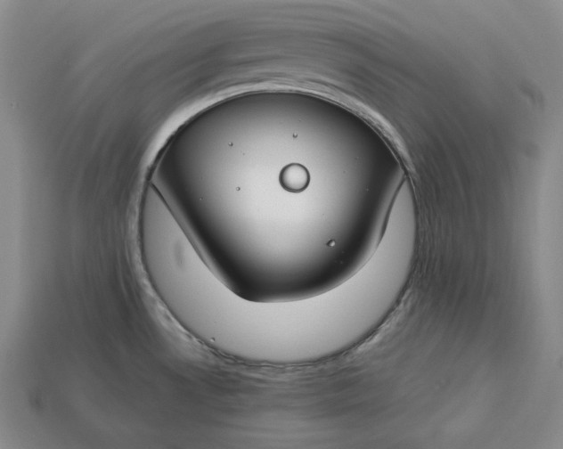 X0000112881530200909111433